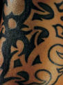 Right Arm Detail