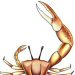 A fiddler crab with a slightly exaggerated large claw...