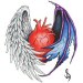 Realistic heart with wings.  One wings is a feathery angel wing the other is a dark gothic type dragon wing.  