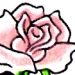Pink Rose with Kanji
