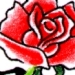 Red Rose with Kanji