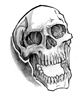 black and grey skull..