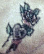 Flower Detail