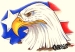 American Eagle with Flag