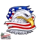 Eagle head with American Flag