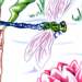 Dragonfly with asian scene with lotus flower and bamboo