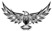 black and grey eagle