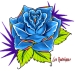 Blue Rose..