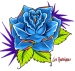 Blue Rose