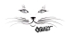 cat face