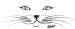 Cat Face