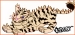 tiger cub with flames