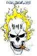 Ghost Rider Skull with flames..