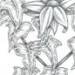 Black and grey design of ivy leaves surrounding one unsual large flower