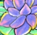 Lotus Flower on lily pad..