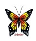 Monarch Butterfly..