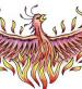 Phoenix rising from the flames