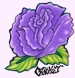 Purple Rose..