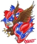 rebel flag and eagle
