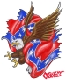 rebel flag and eagle..