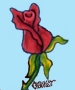 Rose bud..