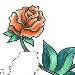 This design of roses is an addtional design for a tattoo that is dashed out in dashes.  The area whe..