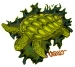 seaturtle
