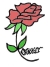 small simple red rose..
