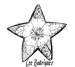 Star Flower..
