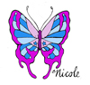 colorful butterfly with name