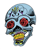 mexican day of the dead skull, colored