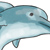 bottle nosed dolphin