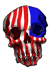 skull with the american flag..