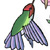 hummingbird