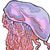 a more stylized jellyfish