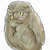 small barn owl