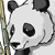 panda bear in forest