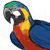 parrot