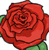 red rose..