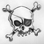 pirate skull and crossbones..