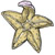 moving starfish