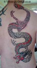 Black & Grey Dragon Backpiece