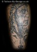 Black and grey Indian