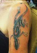 Celtic style lizard