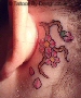 Cherry blossom 