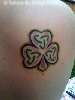 Shamrock