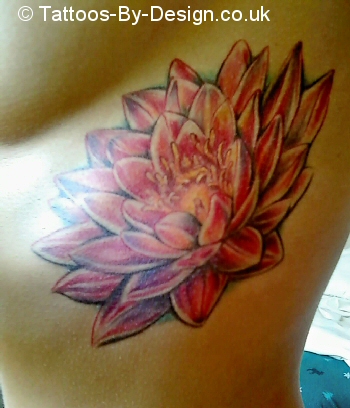 Pink Lotus
