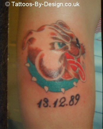 timmys birthday bull dog