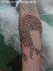 eagle sleeve 