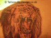 lions head portrait